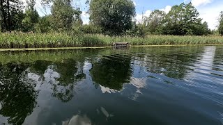 видео: Приехал на Новое озеро Где говорят МНОГО ОКУНЯ! и Сразу Трофейный окунь! Окунёвая рыбалка в Августе! картинка: Приехал на Новое озеро Где говорят МНОГО ОКУНЯ! и Сразу Трофейный окунь! Окунёвая рыбалка в Августе!