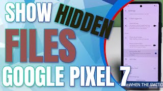 How to Show Hidden Files and Folders Google Pixel7 screenshot 3
