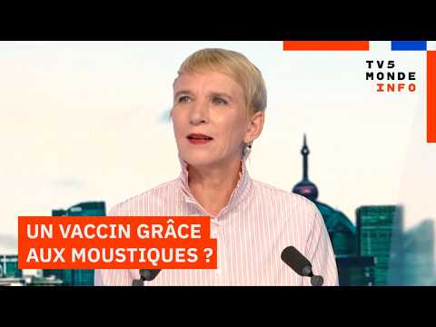 Santé : La salive des moustiques… bientôt une piste pour un vaccin ?