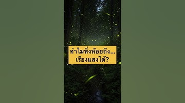 ทำไมหิ่งห้อยถึงเรืองแสงได้?