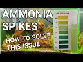How To Fix An Ammonia Spike In Your Aquarium! - Lowering Ammonia Levels In 3 EASY Steps!