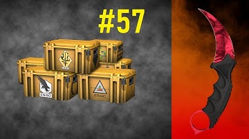Opening 1 Case Everyday Until I Get a Knife #57