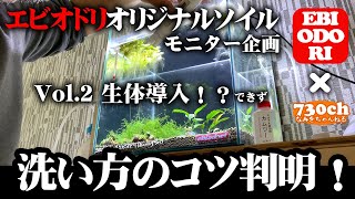 ダンシングソイル立ち上げ一週間経過 ダメのお手本。生体導入できない〜！洗い方失敗【エビオドリオリジナルソイル性能検証モニター企画】