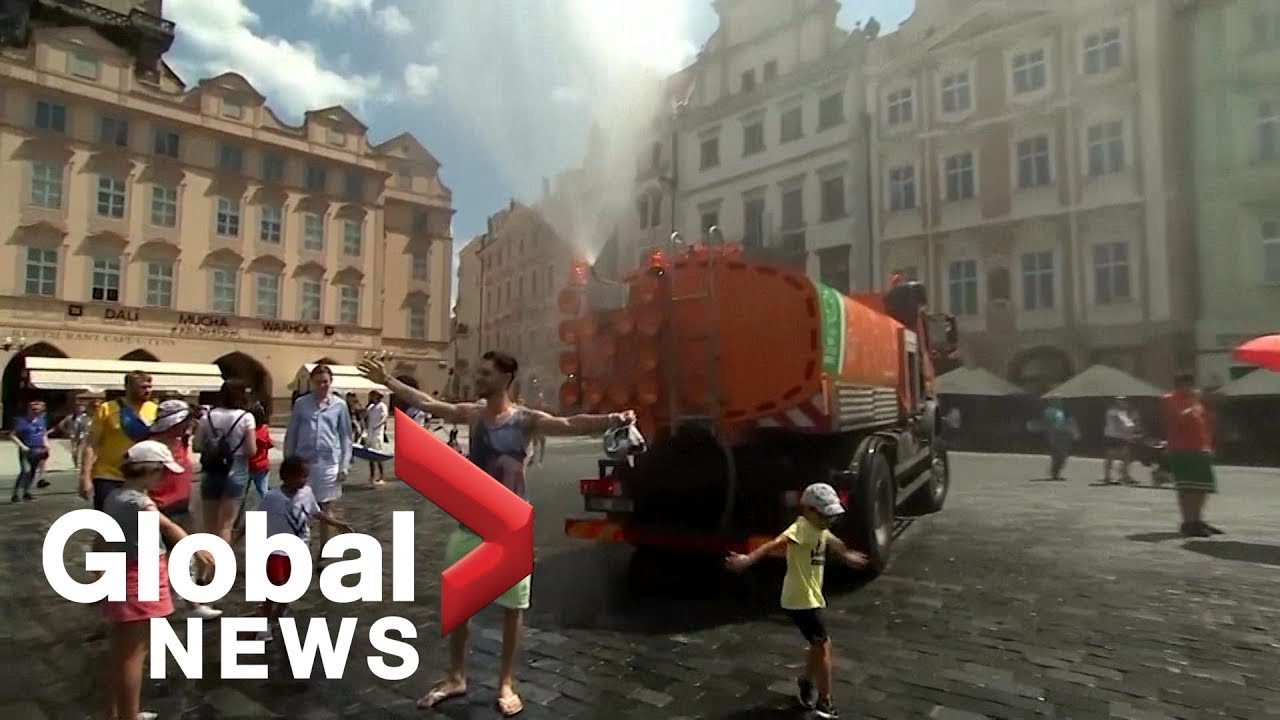 Europe-wide extreme heat wave has people, animals trying to keep cool