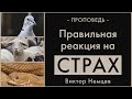 Правильная реакия на страх - Виктор Немцев (Мф. 10:16-20)