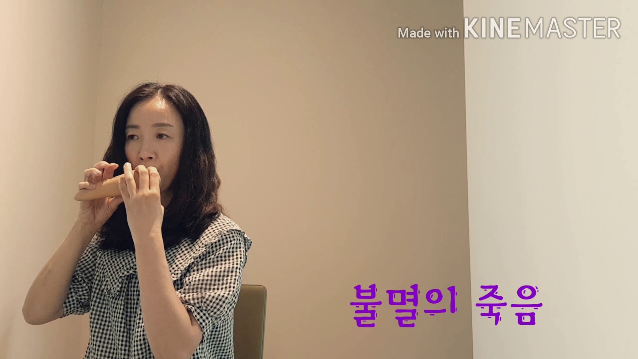 불멸의 죽음 /태건 노래 /오카리나 이은정