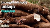 Paru Nabati Kulit Singkong Rengganis Jejak Si Gundul 20 November 2015 Youtube