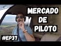 Mercado de Piloto