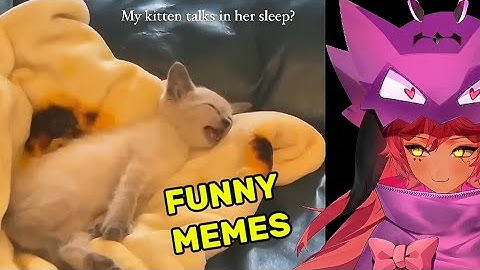 TRICKYWI REACT FUNNIEST ANIMALS EVER AND DAILY DOSE OF INTERNET MEMES 💜🐉