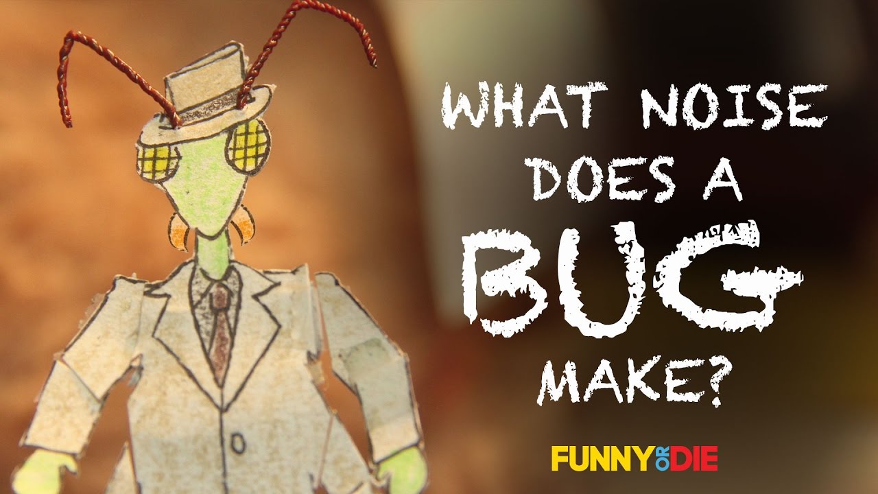 What Noise Does A Bug Make?