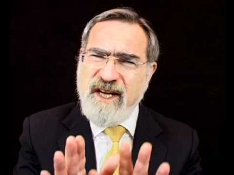 Covenant and Conversation - Noah 5771 - YouTube