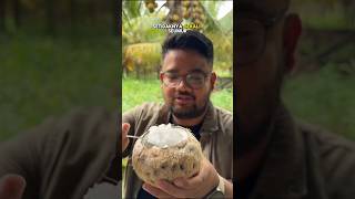 Rahasia Kelapa Kopyor Lezat, Bergizi, Dan Berasal Dari Mutasi Alam