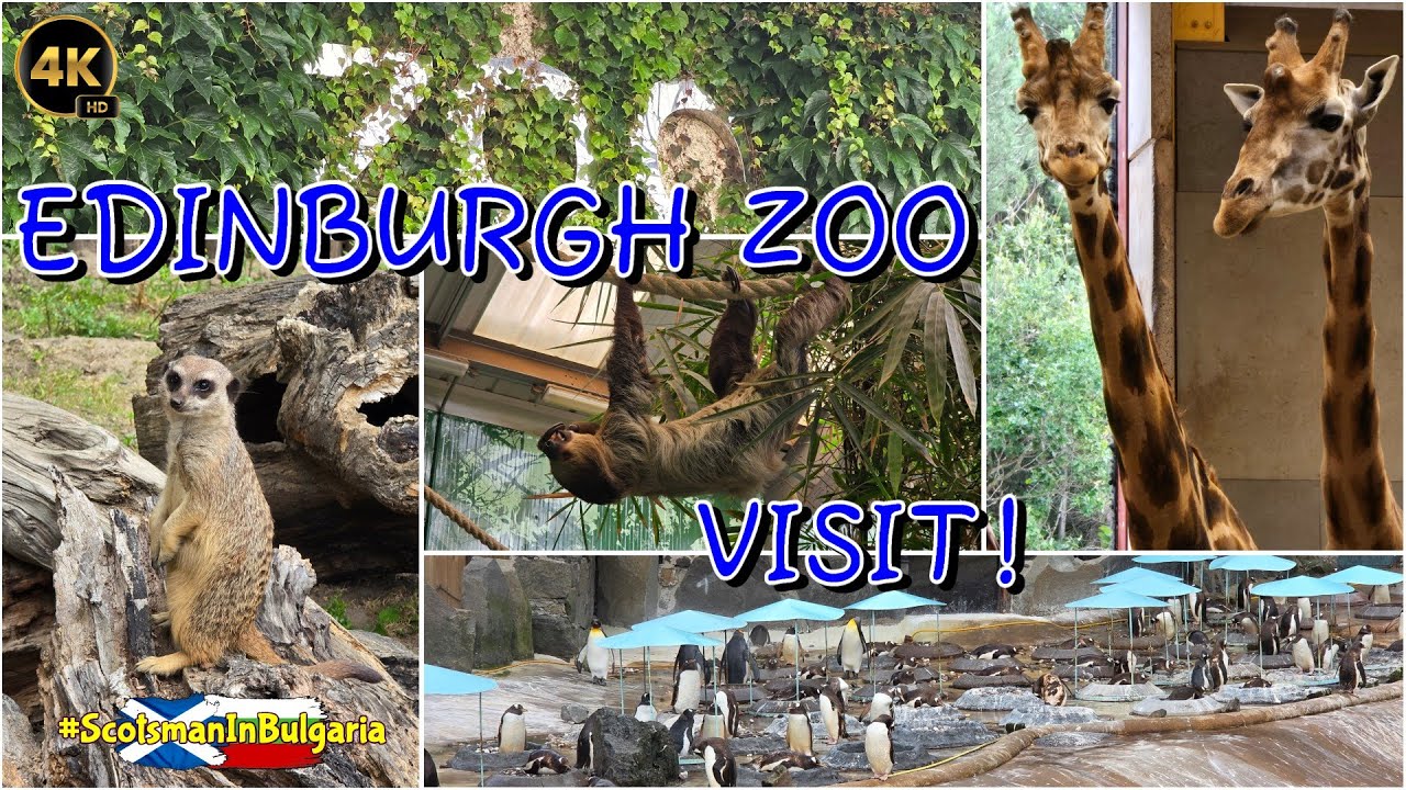 Edinburgh Zoo | Scotland | Best Zoo | Visit | Tour