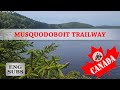 #79 Прогулка по Musquodoboit Trailway, Halifax, NS. Красивые пейзажи, немного лесной живности