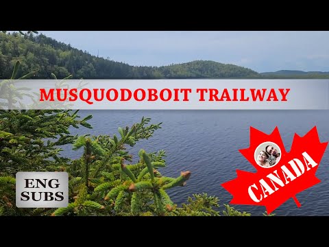 Video: Tempat Terbaik Di Chowder Trail Rasmi Nova Scotia