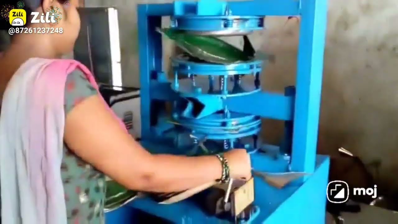 2022 NEW BUSINESS IDEA: Paper Plate Making Machines!