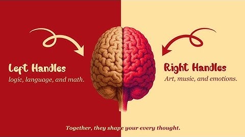 Left Brain vs Right Brain | Human Brain Explained in 15 Seconds | After Effects Animation 