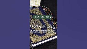 سورة ق وَجَاءَتْ سَكْرَةُ الْمَوْتِ بِالْحَقِّ ۖ .#سورة_ق #قران_كريم #هذاية #كرومات  #quran_alkarim