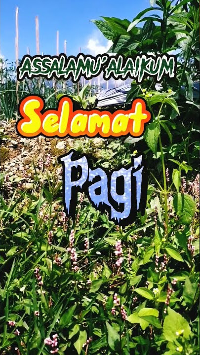 Selamat pagi selamat beraktifitas guys