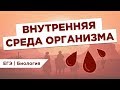 Что такое ВНУТРЕННЯЯ СРЕДА ОРГАНИЗМА l ЕГЭ Биология | Даниил Дарвин | Вебиум