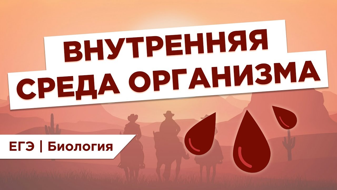 ⁣Что такое ВНУТРЕННЯЯ СРЕДА ОРГАНИЗМА l ЕГЭ Биология | Даниил Дарвин | Вебиум