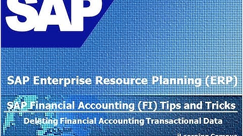 SAP FI Tips and Tricks Deleting Financial Accounting Transactional Data