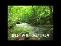 おんな川画像.wmv