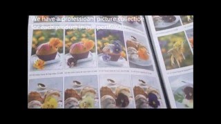 Prudac Product Presentation Flowertrials