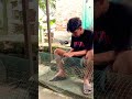 Proses pembuatan AVIARY sederhana #burung #aviaryburungkecil# #aviarymini
