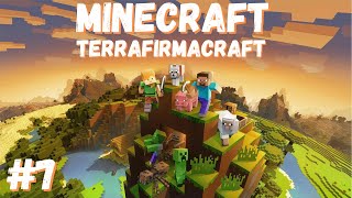 Майнкрафт TerraFirmaCraft | Minecraft TerraFirmaCraft | Часть 7 | Стрим от 11.05.2022