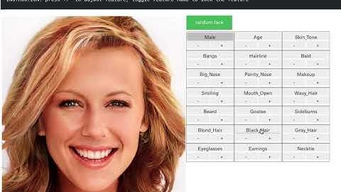 TL-GAN interface demo run 1