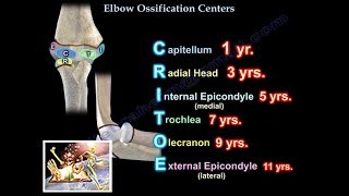 Elbow Ossification Centers    - Everything You Need To Know - Dr. Nabil Ebraheim What Bones Are In The Elbow