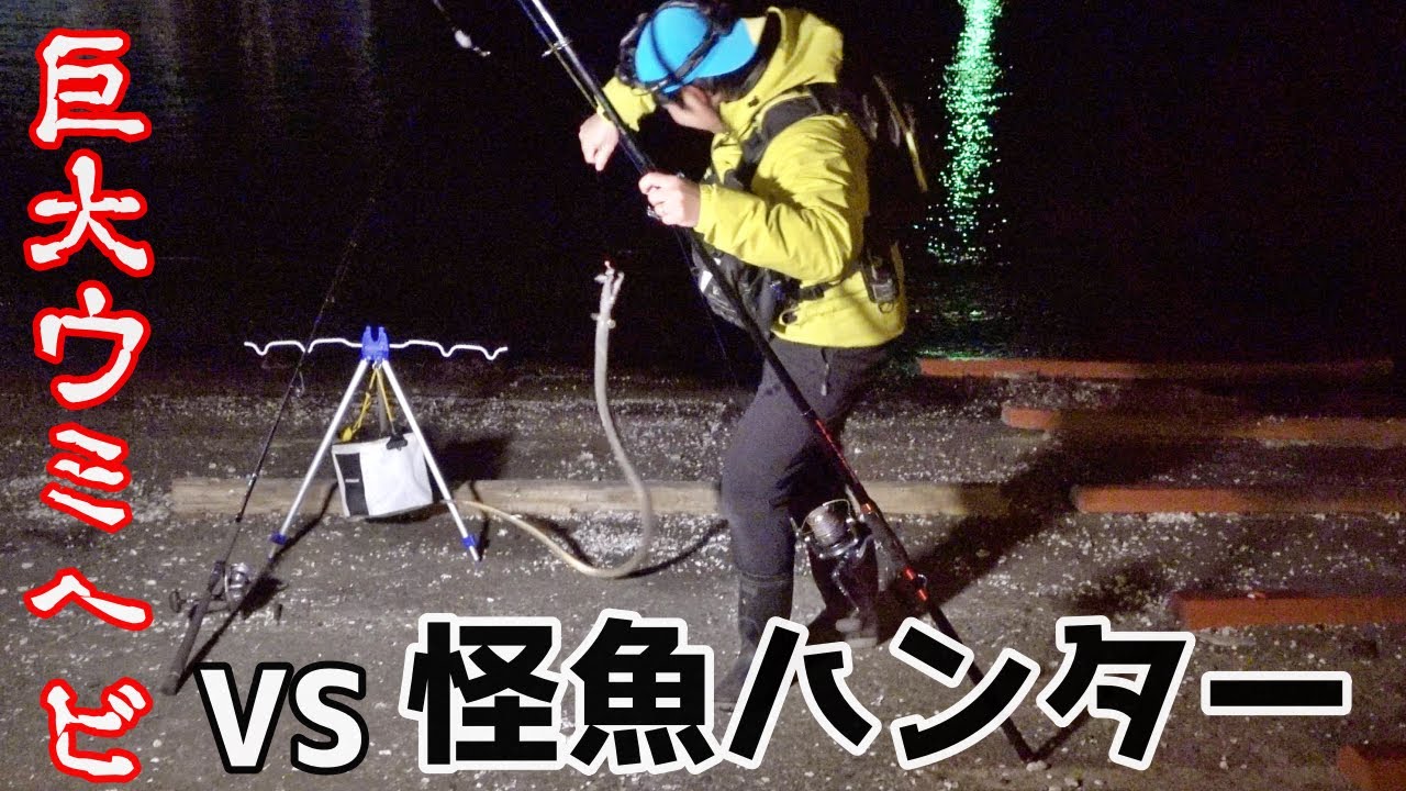 最大2メートル越え テレビでも話題の怪魚ハンターと 砂地に潜む巨大ウミヘビ を狙う Youtube 最大2メートル越え テレビでも話題の怪魚ハンターと 砂地に潜む巨大ウミヘビ を狙う Youtube