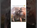 Scar X Mufasa Edit рџ Ѓрџ ЉпёЏрџ Ќ Shorts Viralvideo Trending Trendingshorts Thelionking Mufasa Scarking Scar X Mufasa Edit рџ Ѓрџ ЉпёЏрџ Ќ Shorts Viralvideo Trending Trendingshorts Thelionking Mufasa Scarking