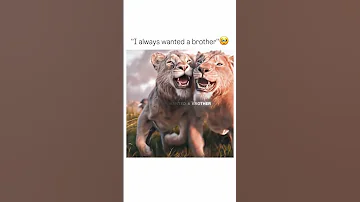 Scar X Mufasa Edit Shorts Viralvideo Trending Trendingshorts Thelionking Mufasa Scarking 
