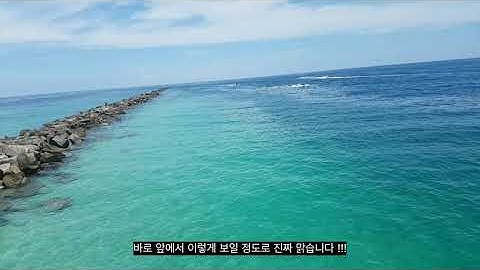 [미국여행🇺🇸] 마이애미 비치 🏝는 천국입니다...ㅗㅜㅑ.VLOG