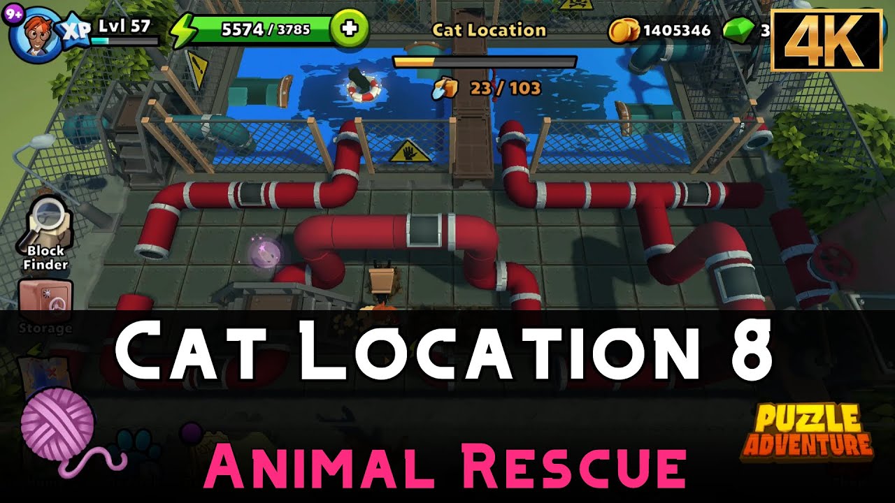 Cat Location 8 Animal Rescue Puzzle Adventure YouTube