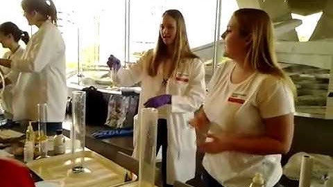 Elephant Toothpaste - Catalyst Demo
