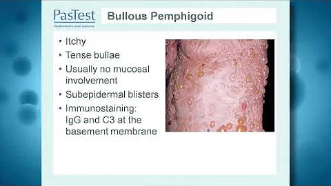 07  Dermatology Dr Virginia Hubbard