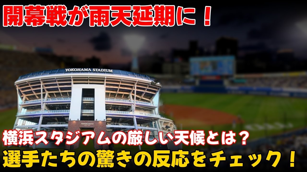 4月8日(土）横浜対中日 バックネット裏SS席ペア 雨天中止時返金有  