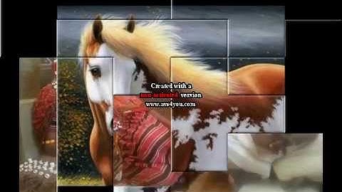 eritrean saho song by ismael ahmed