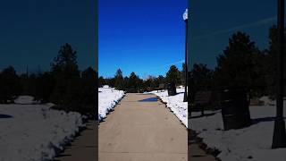 Den Leaves & Melting Snow Fall Meets Winter Walk