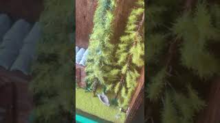 diorama forest