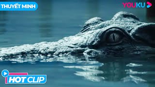 [HOTCLIP] Nhát Cắn Chí Mạng Của Cá Sấu | Sóng Thần Cá Sấu Điên | Phim Lẻ YOUKU