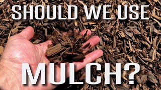 Pros and Cons of Using Mulch in Our Planter Beds. by Budget Plants 10,893 views 4 years ago 6 minutes, 15 seconds