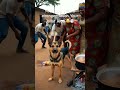 My dog when someone touches my food 🍚😱 #funnydog #jollof #shorts