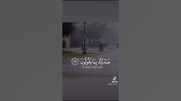 ولقد نعلم أنك يضيق صدرك.. القارئ :ياسر الدوسري.  حالات واتس