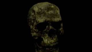 Talking skull uses pic 12F675, mp3 player and a servo.wmv screenshot 5