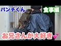 ニホンザルのパンチくん、飼育員のお兄さんが大好き 2026.02.13 市川市動植物園