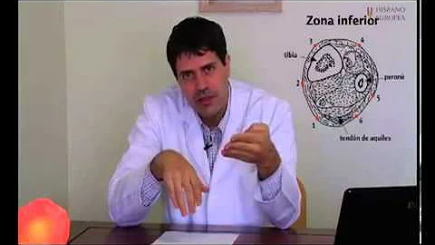 Acupuntura zonal o Acupuntura de muñecas y tobillos, Wrist and Ankle Acupuncture WAA